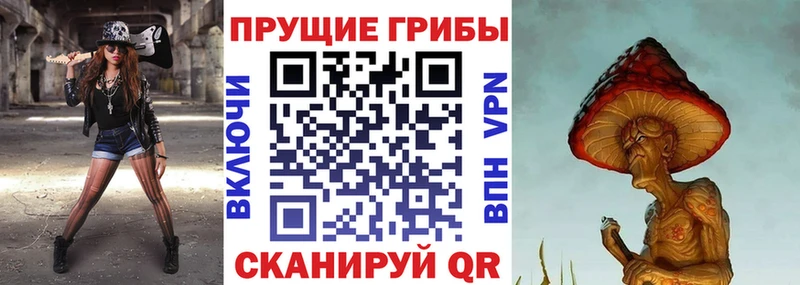 Псилоцибиновые грибы MAGIC MUSHROOMS  сколько стоит  Закаменск 